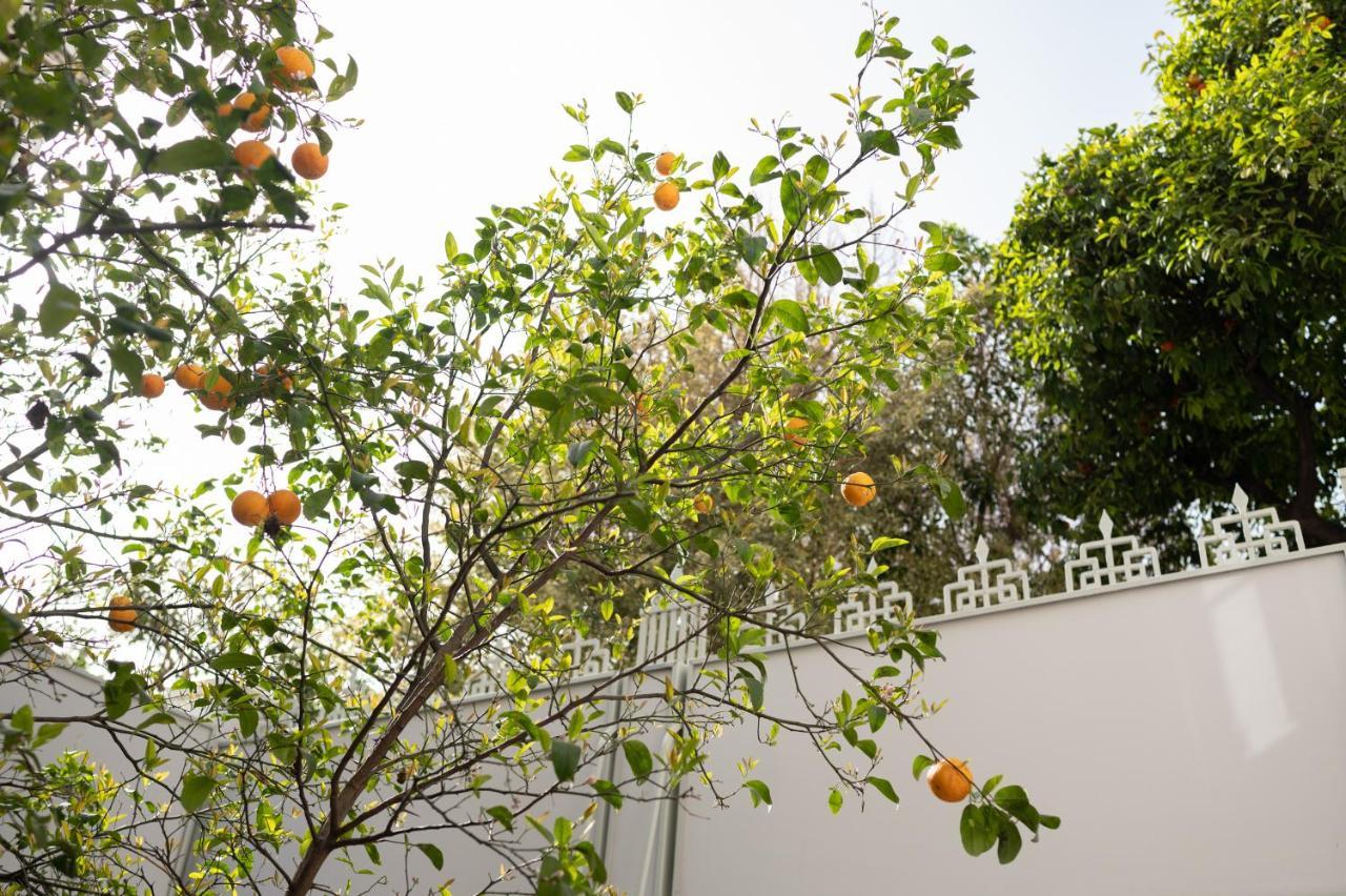 Apartmán Casa Blue Dove Chania  Exteriér fotografie